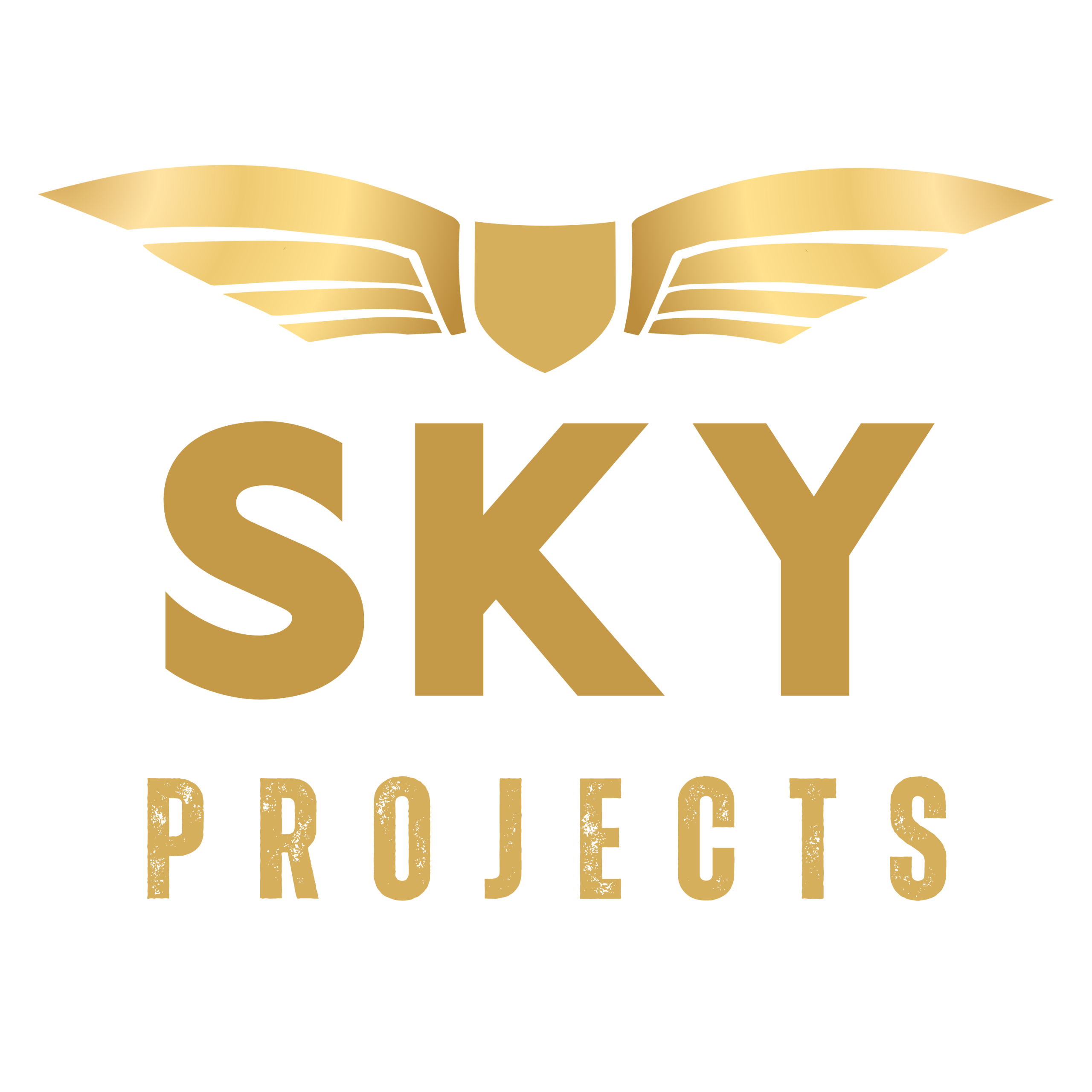 SKY כיס